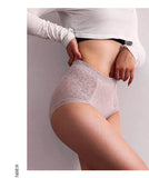 Lalall Ladies Sexy Mesh Panties High-waist Seamless Lace Underwear Briefs Transparent Lace Women Cotton Health Knickers Lingerie